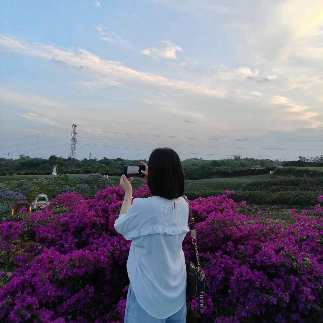 a柠檬