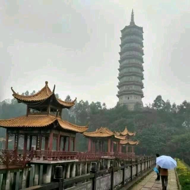 🍀糊兔过一生🌸