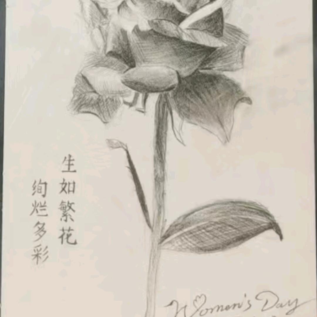 升学规划Sunny