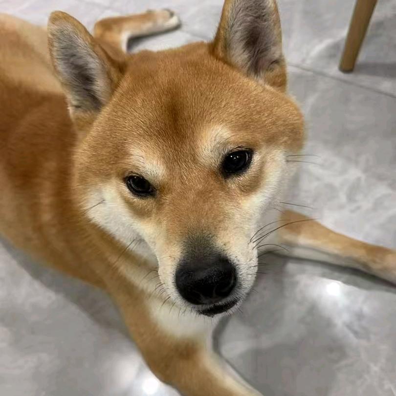土豆哪里去挖