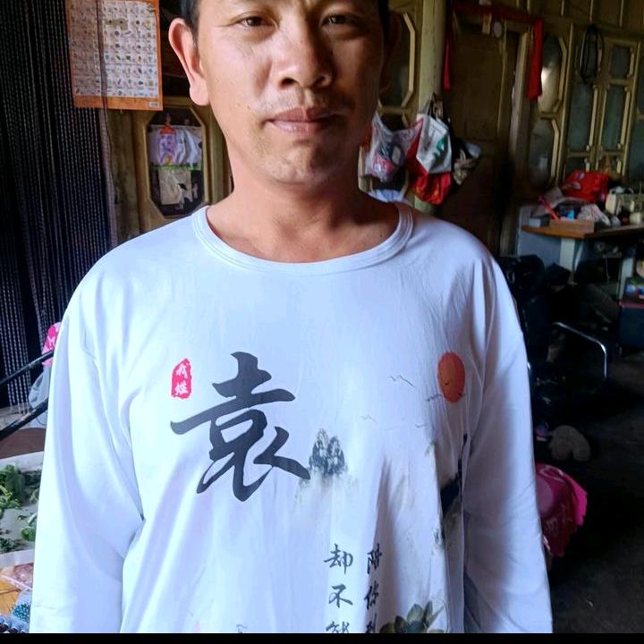 袁虎