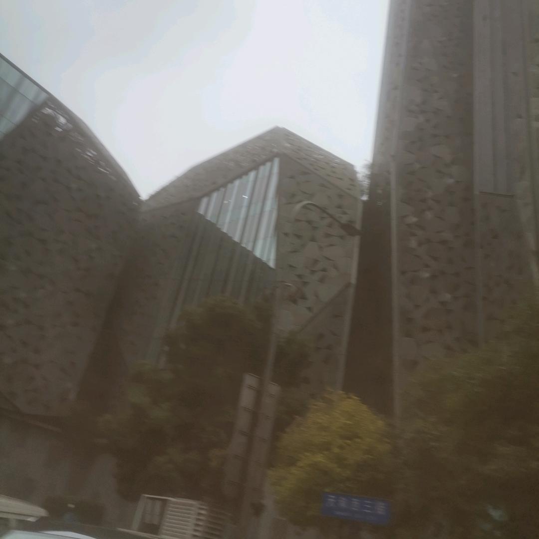 鸿运连连