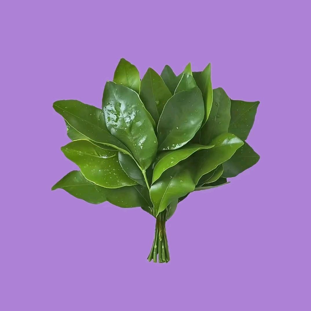 颖琳