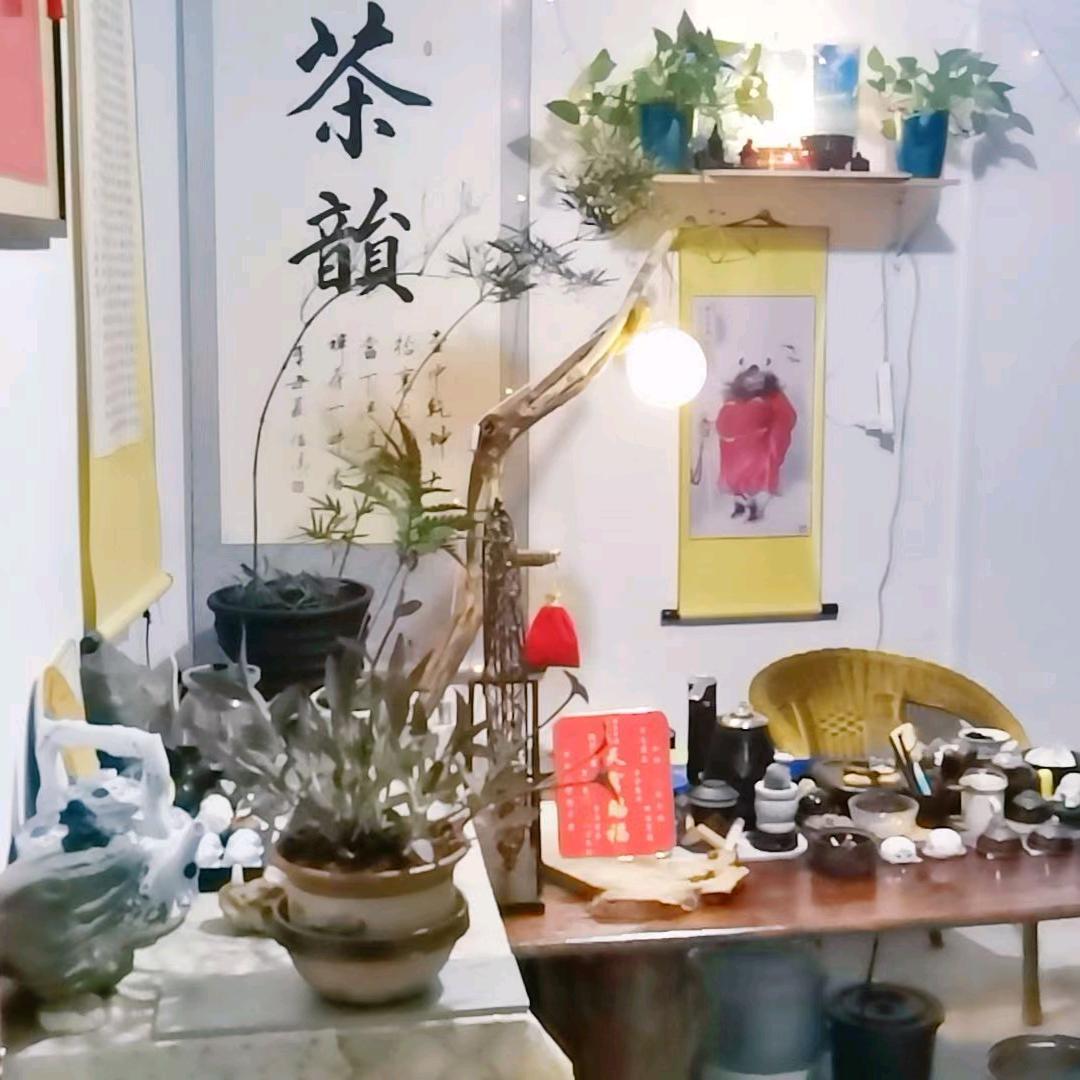 追亮的人