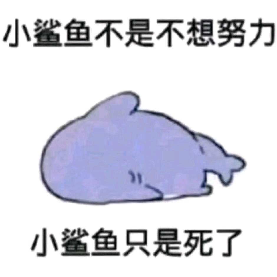 吉吉爱自己