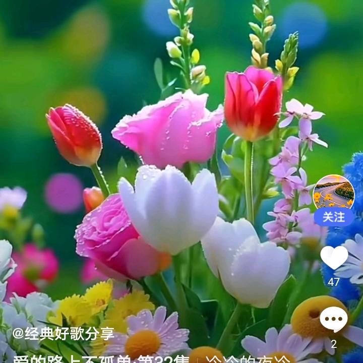 💐💐晓晓🥀🥀