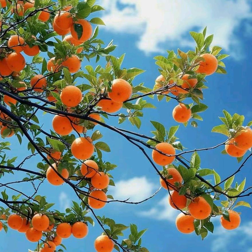 ☞幸福风格☜《泽，依》