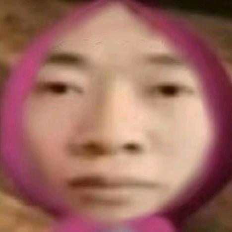 忘本毛球