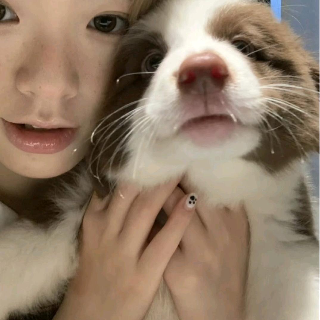 γβη