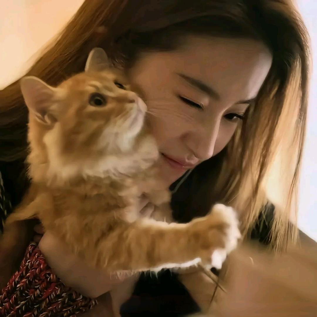 诺曦
