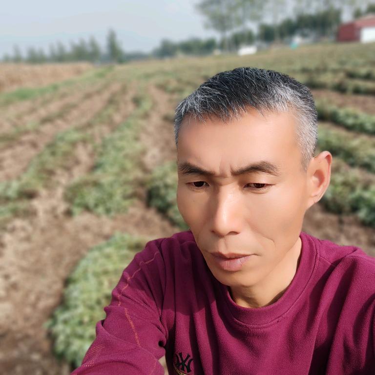 西洋店美丰农资