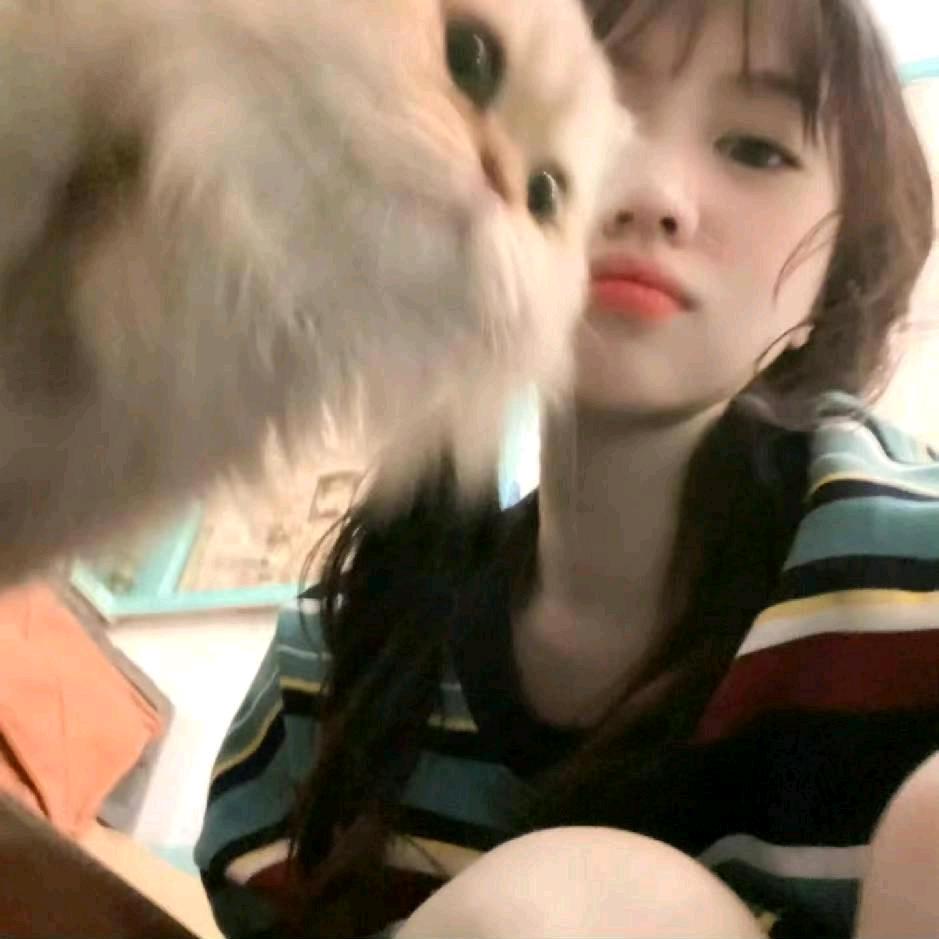 鱼七🍔