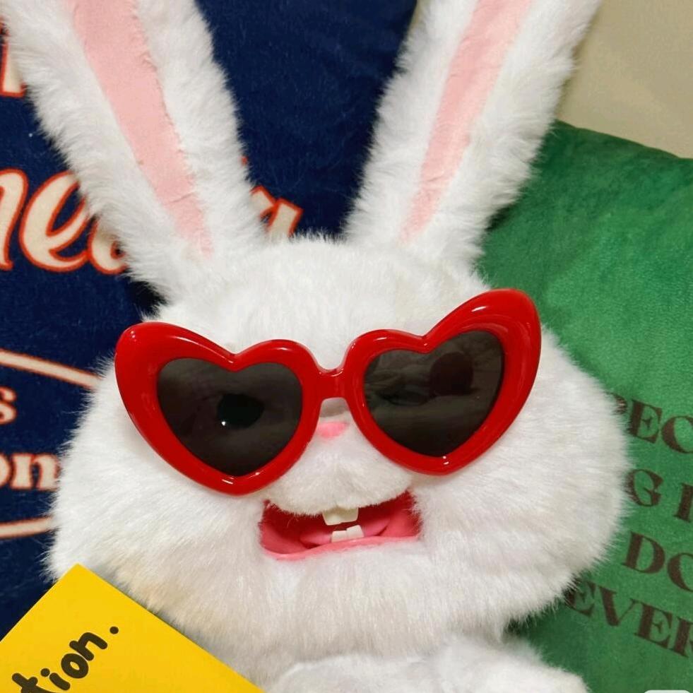 一只rabbit