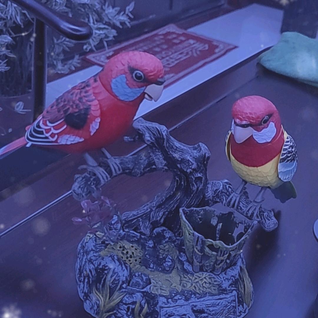 用户3110570017391建筑装修