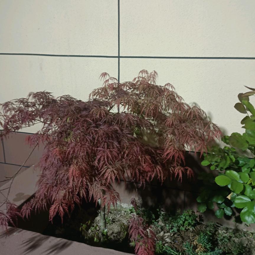 顺其自然
