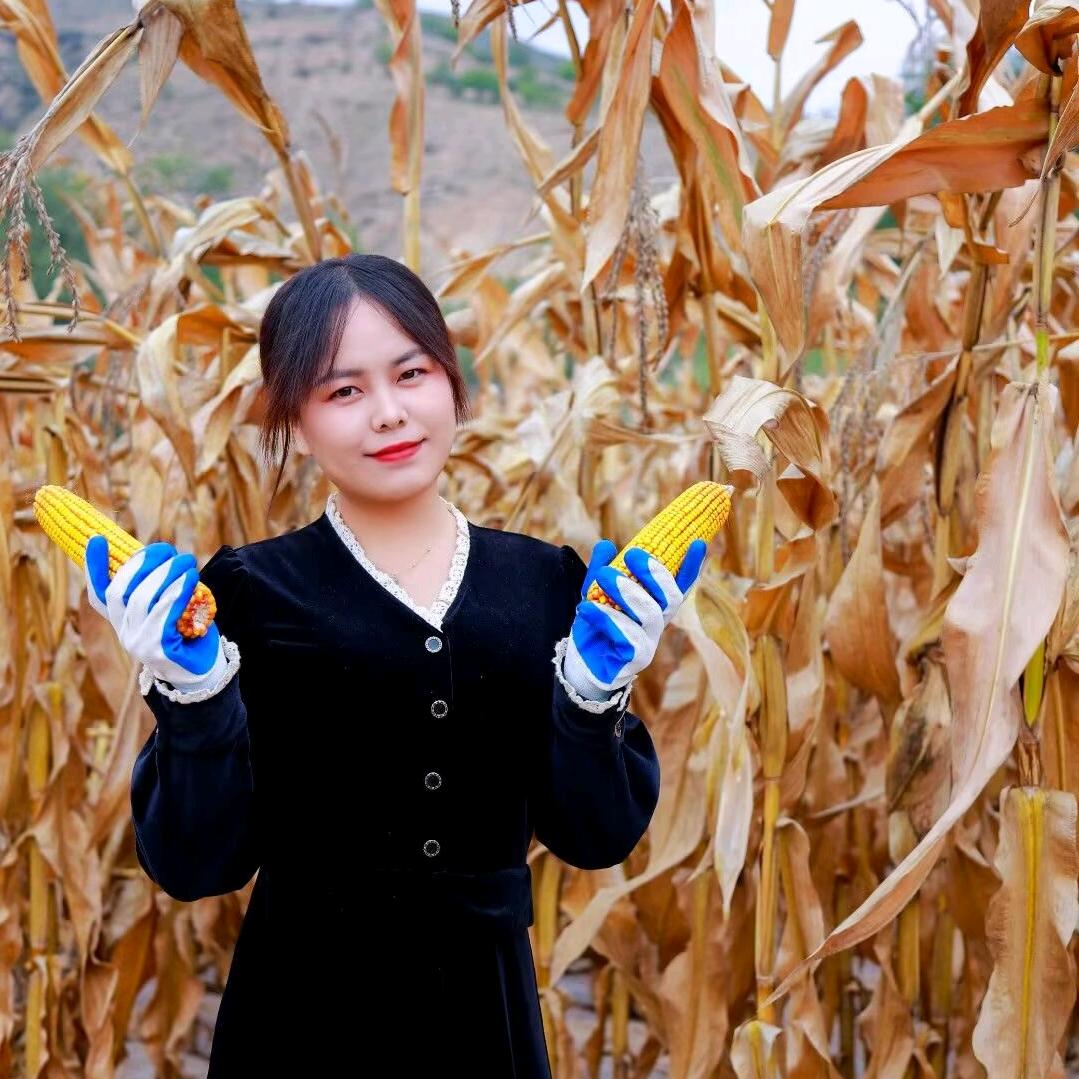 甘肃姑娘的草本铺