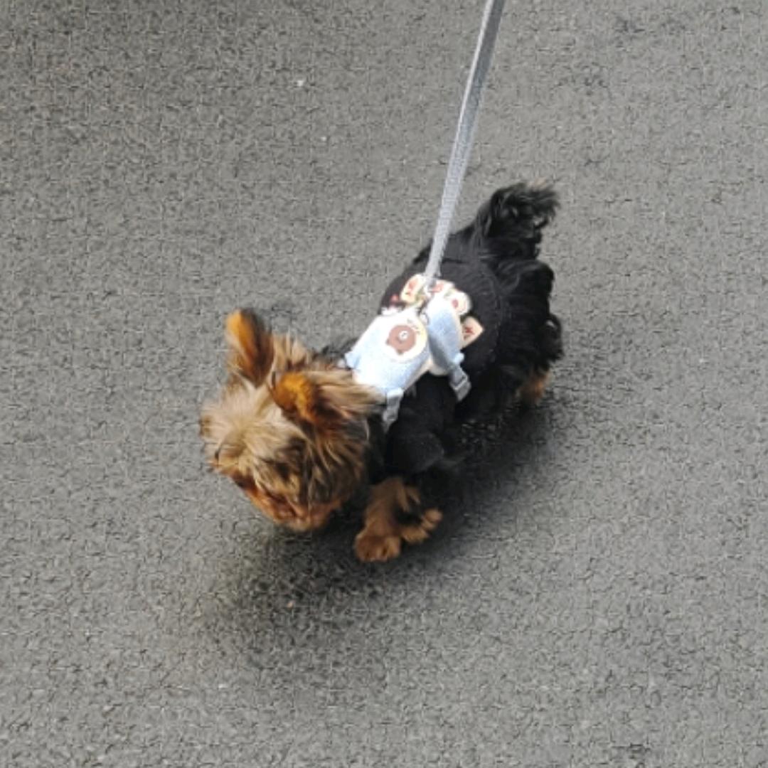 旺仔牛奶糖
