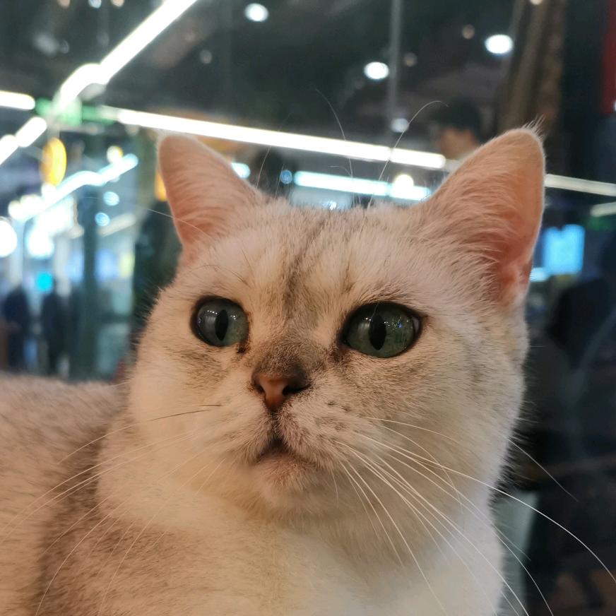 倪倪赚赚赚…