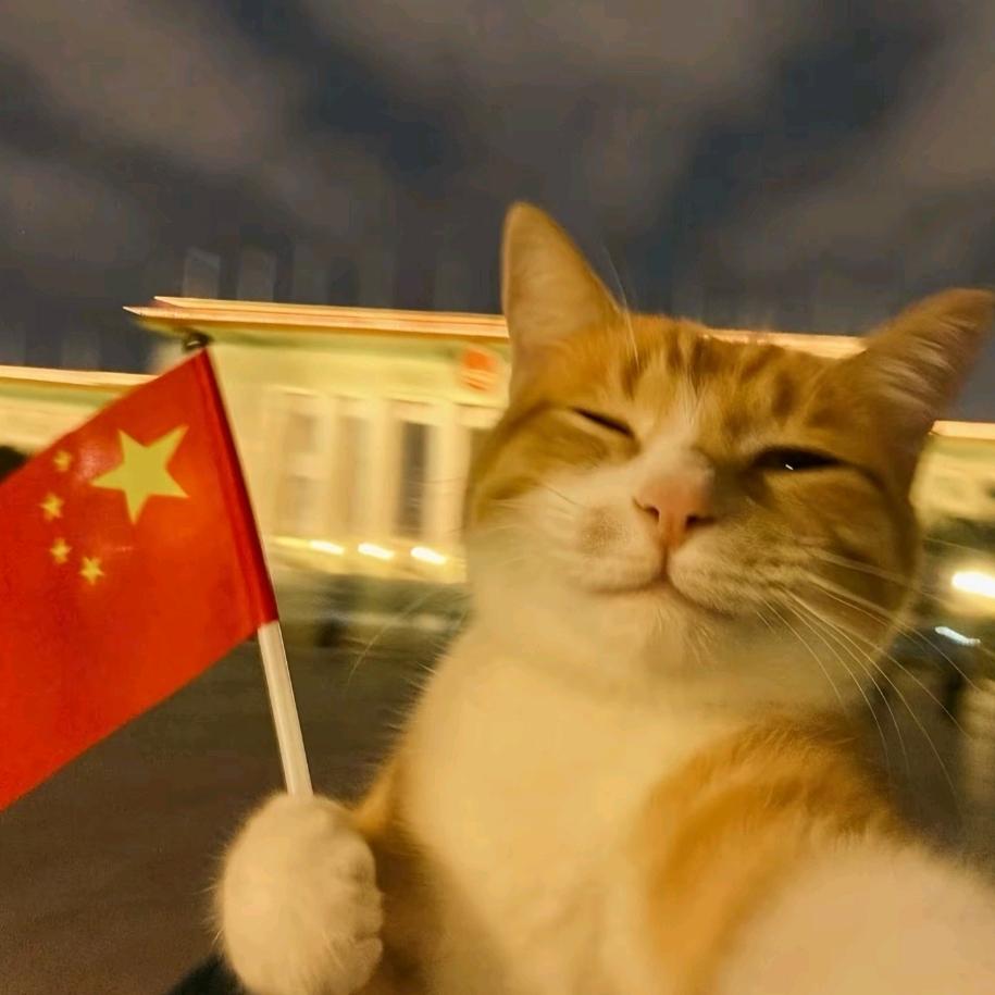 猫有我香？