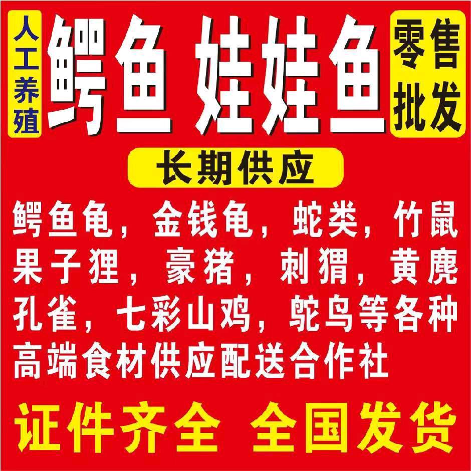 广州市增城乔建水产店