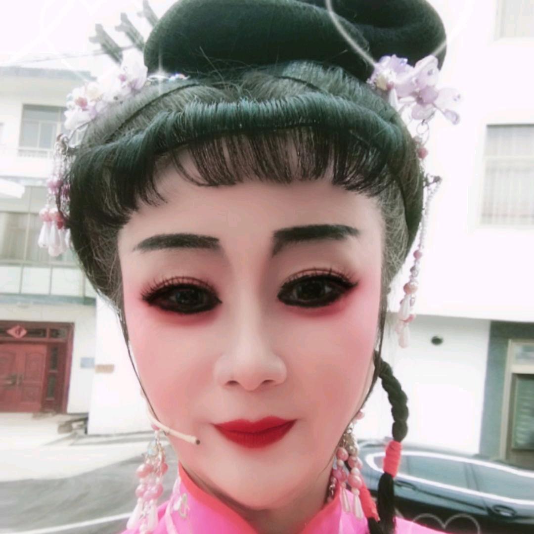 黄梅戏韵荷