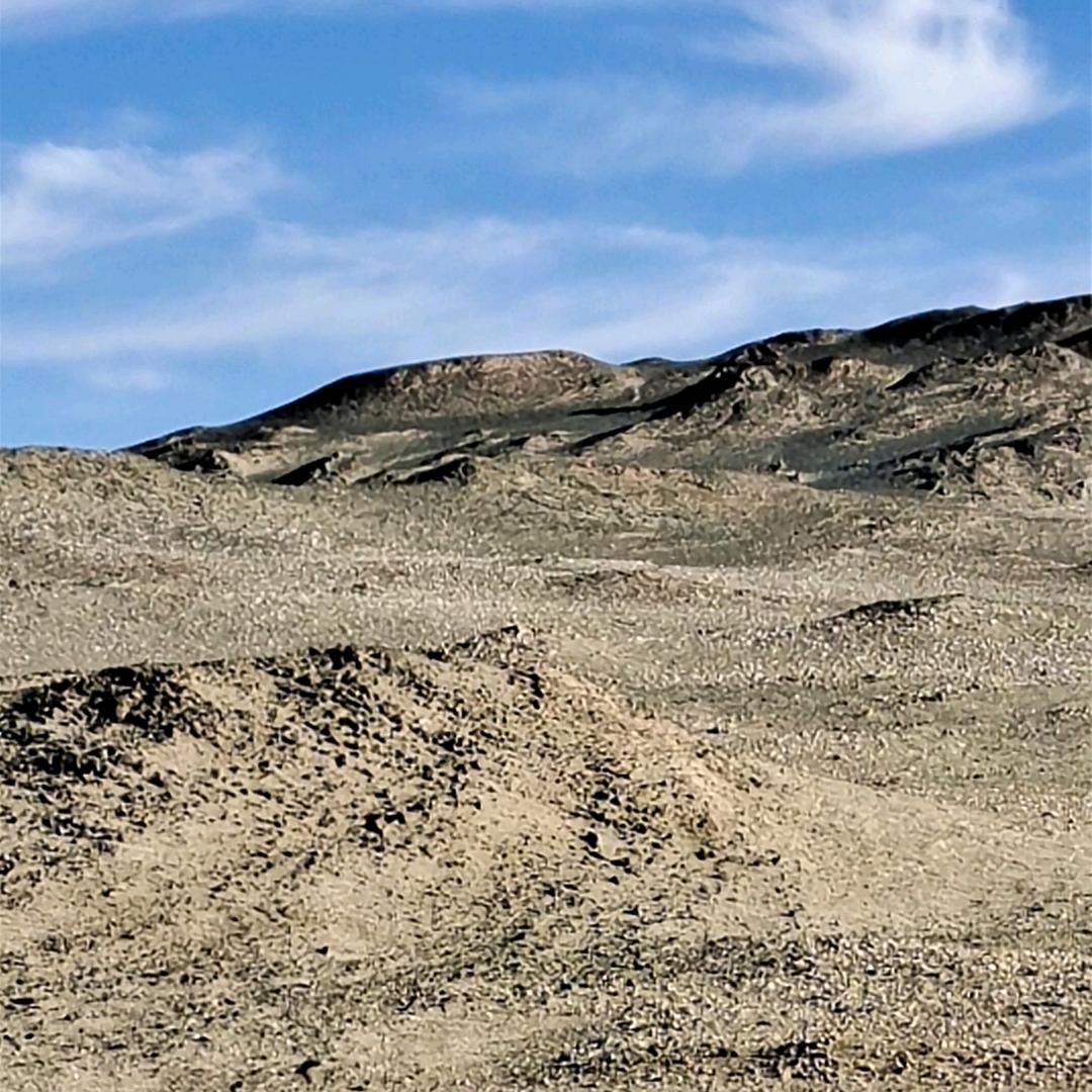 北京草木烤鸭，江浦店