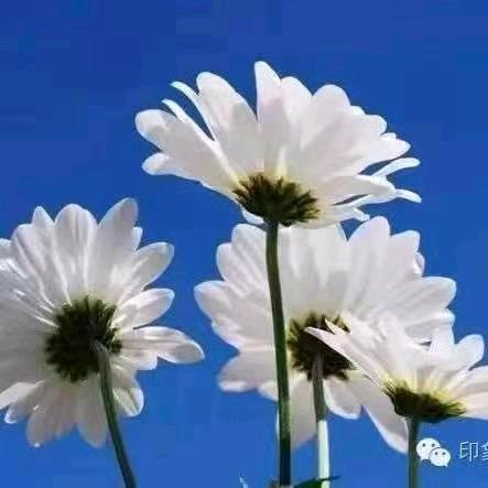 开心过好每一天的生活