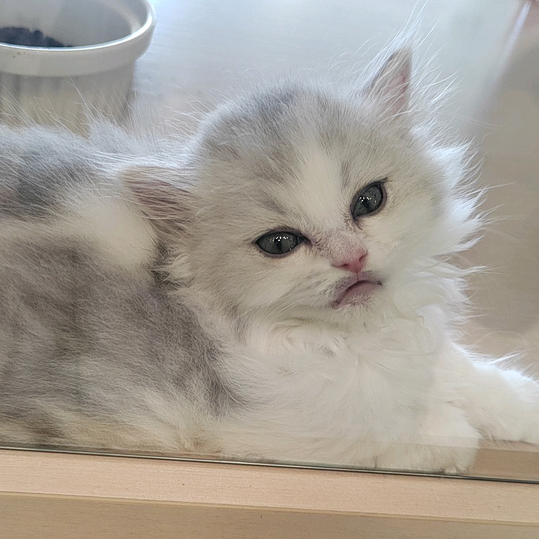 爱～🍉（见过王源版）