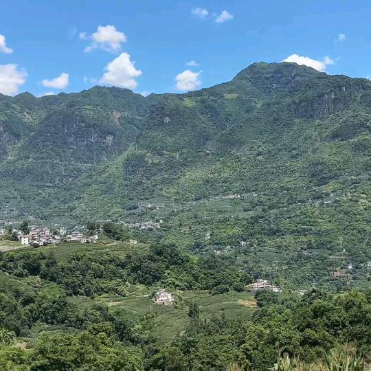 平安是福