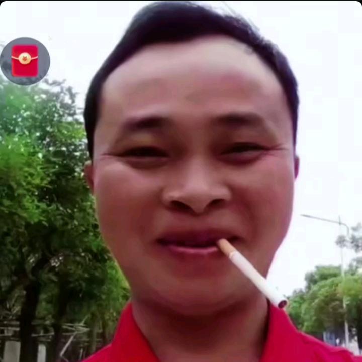 秦歌歌