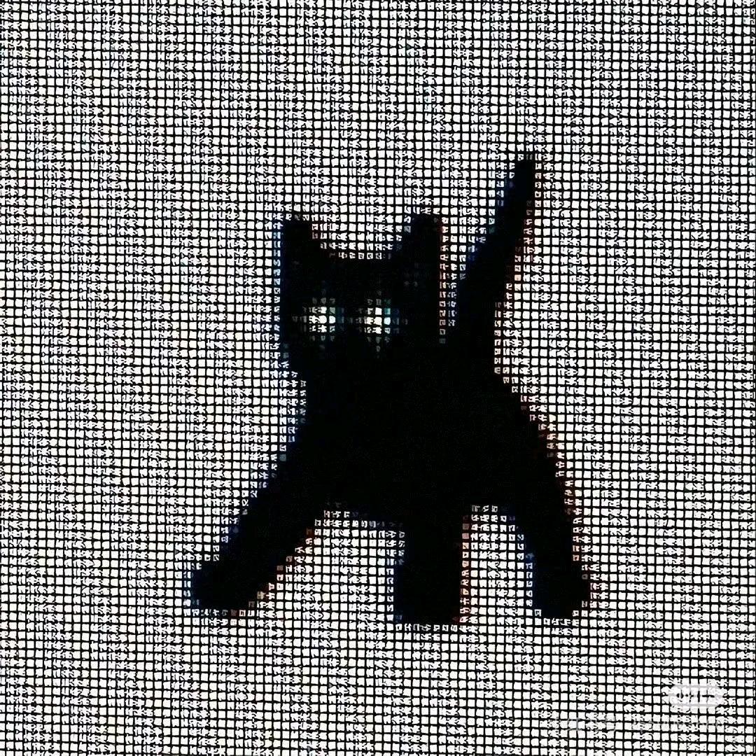 西伯利亚超级黑丝大公猴