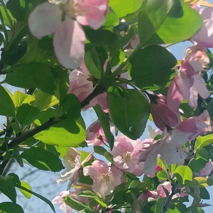 在外漂泊的人
