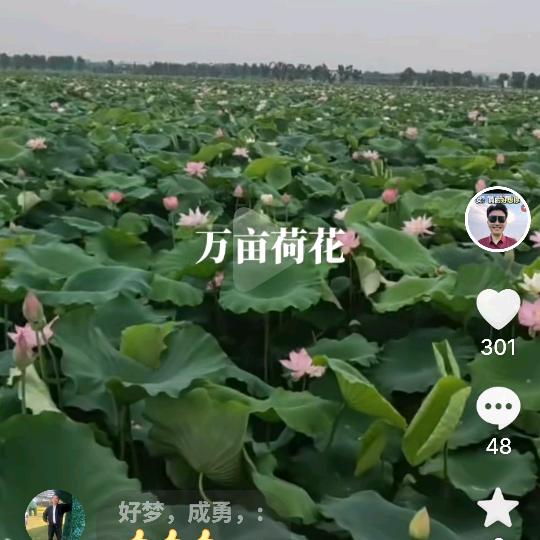 终身难忘。