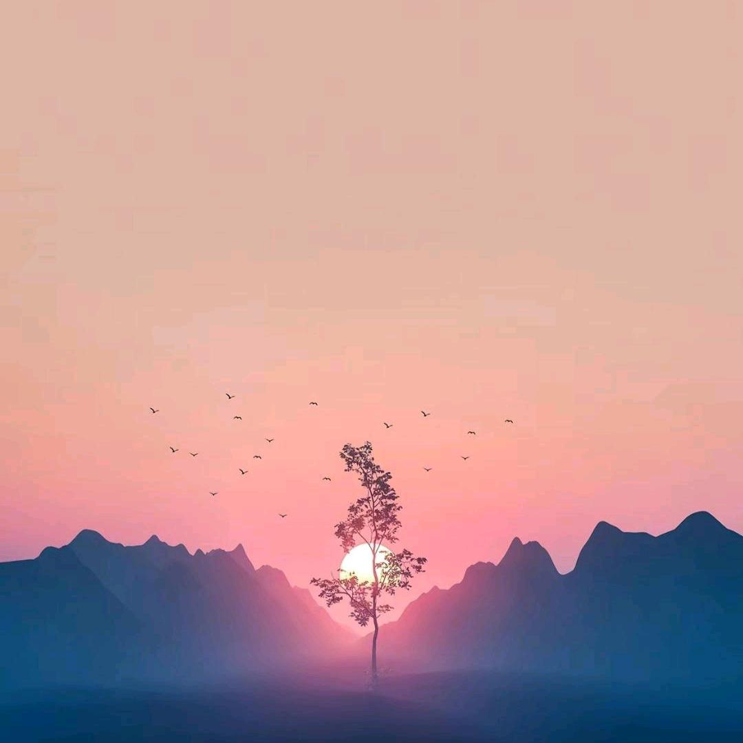 ꦿ根💞
