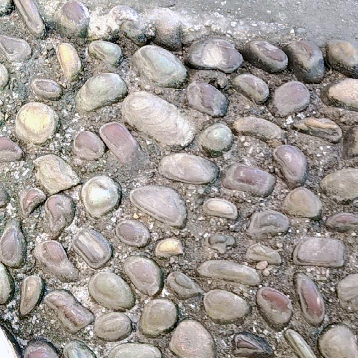 福瑞升金