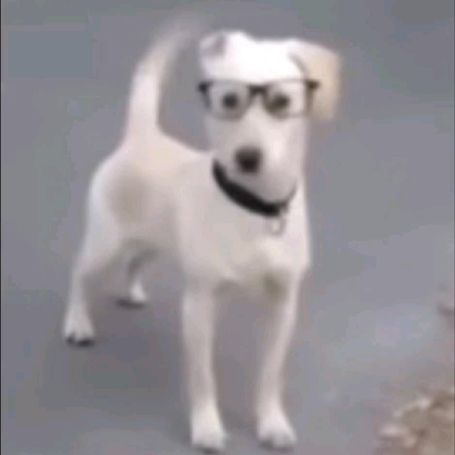 你真的少烦我