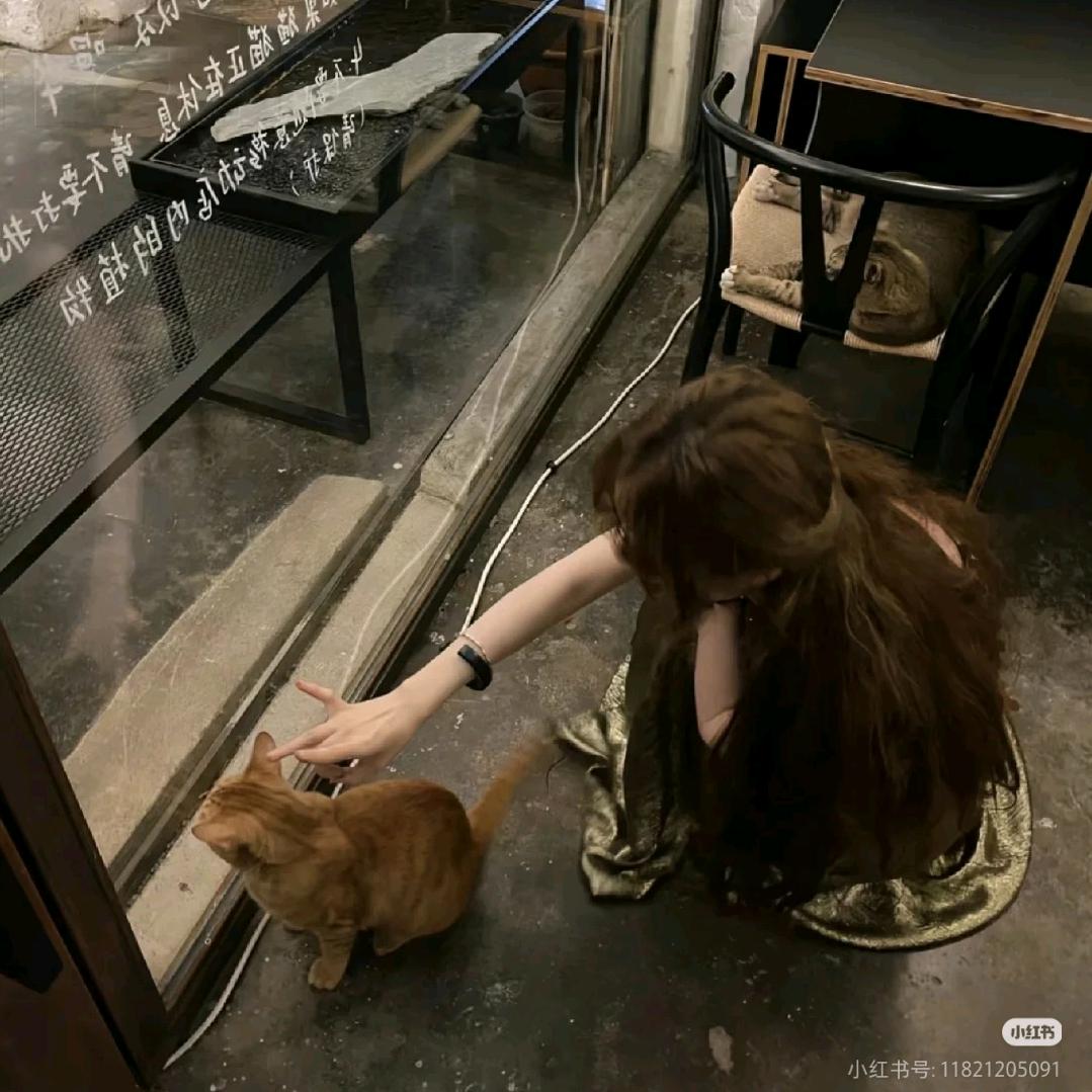 妮妮妮