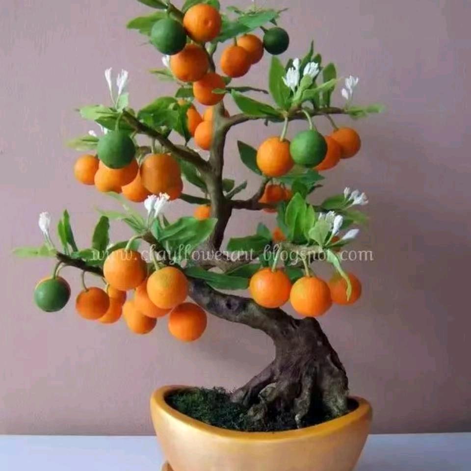 欧师傅俩口子贴瓷砖