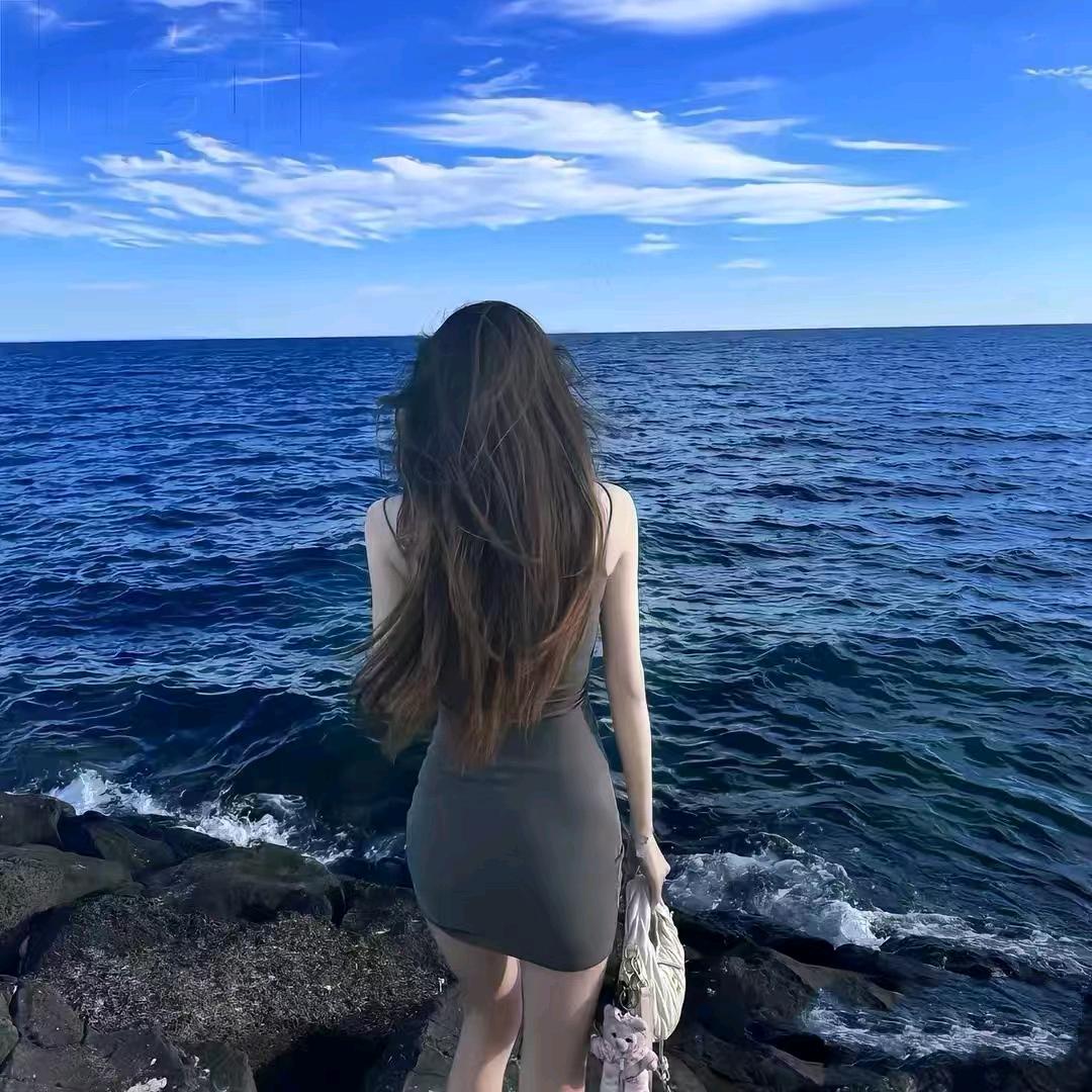 白玫瑰