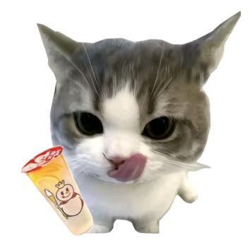 沈卿