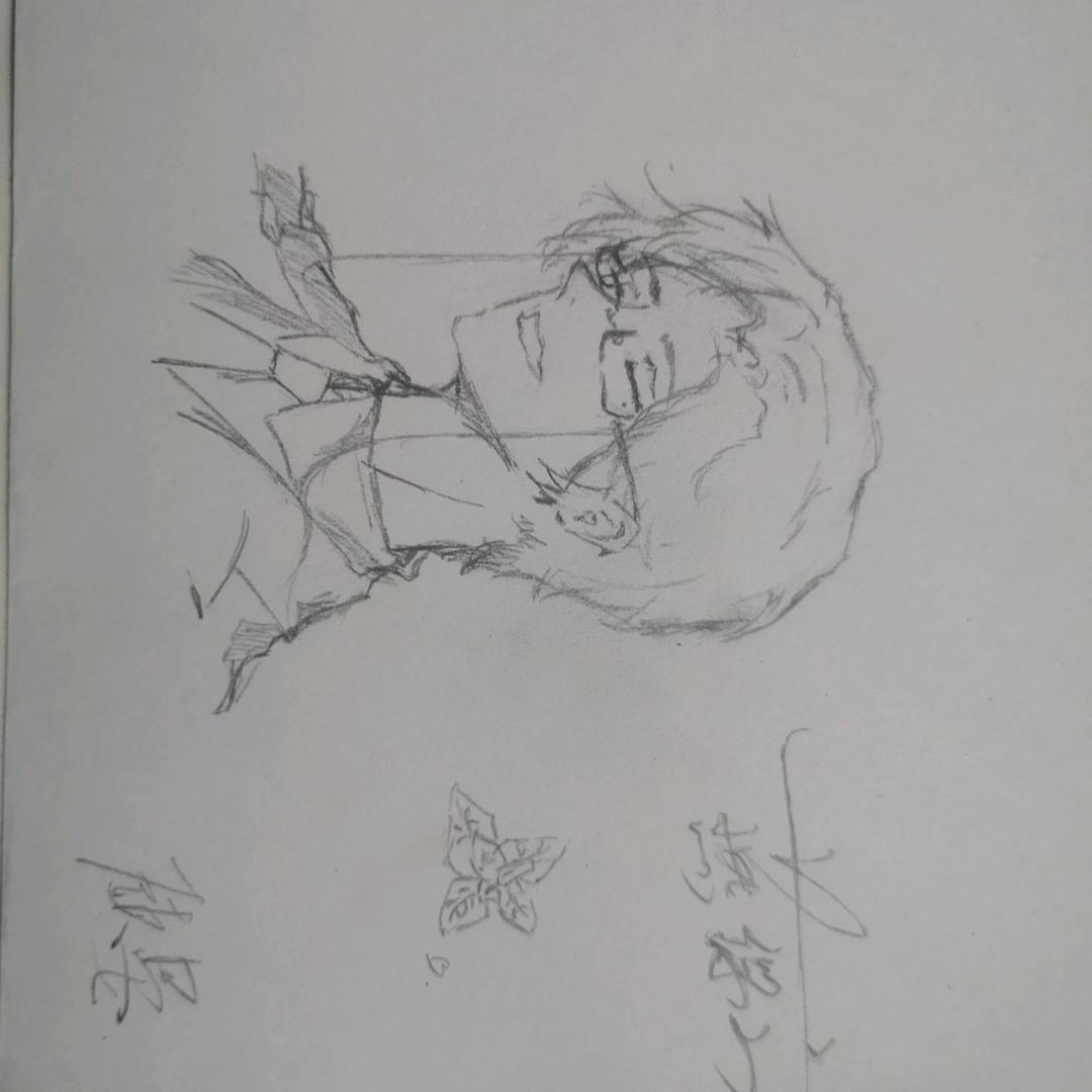第五人格南鸢画（宁芙请投作曲家）