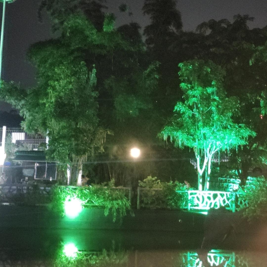 吹到梦西湖