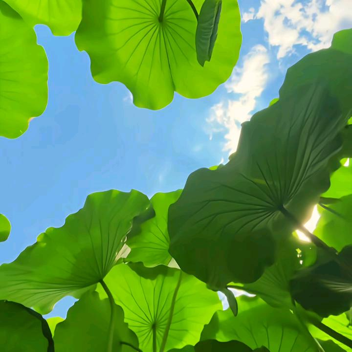 晨曦♥