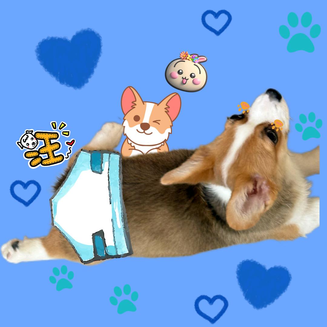 💩❤️💊