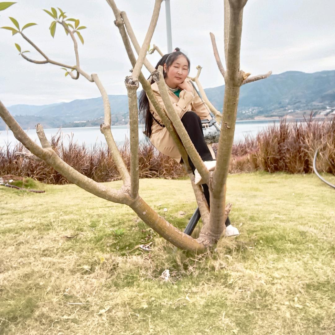 @云南潭翠（520）