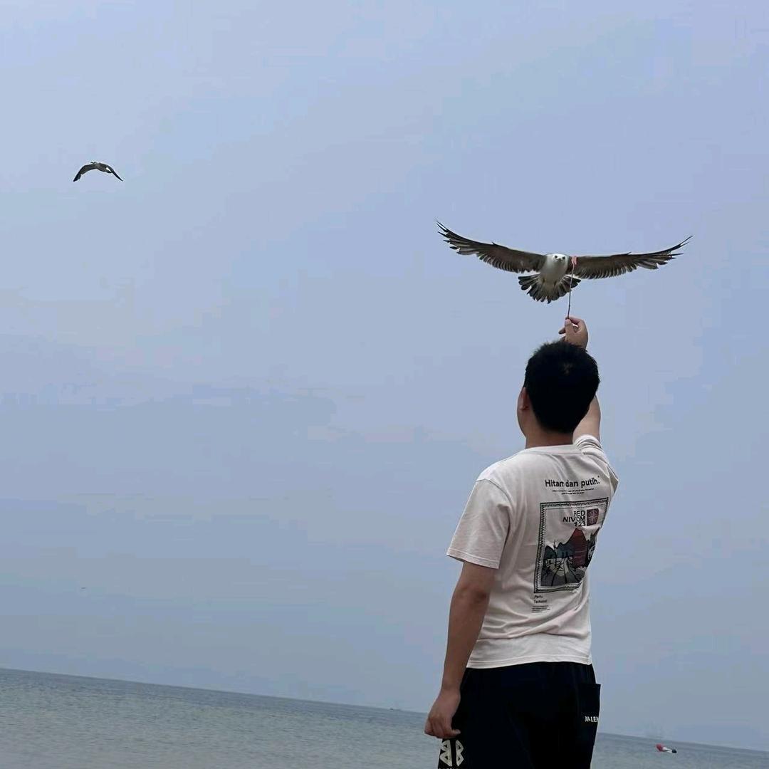 李可