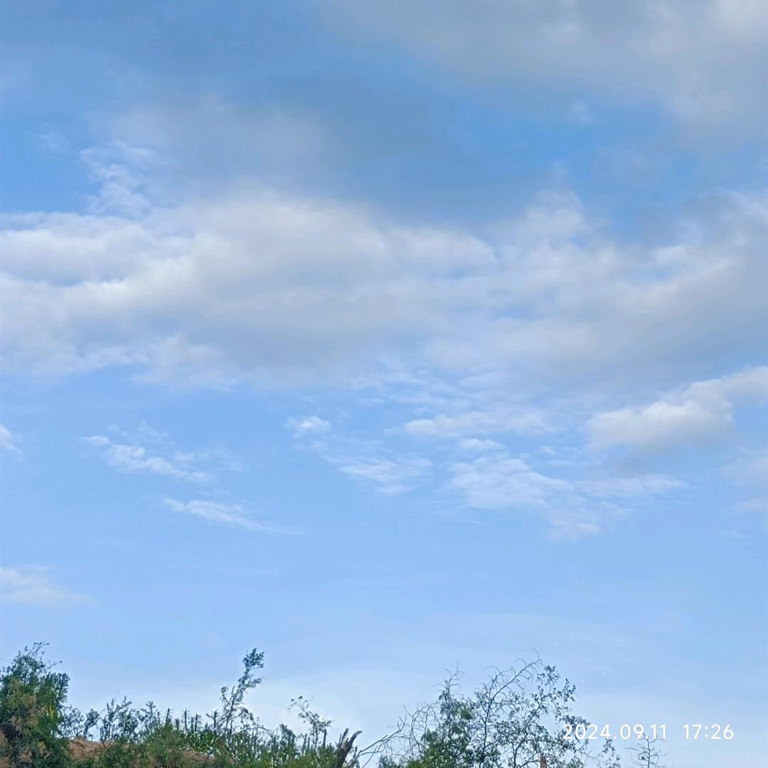 星宇