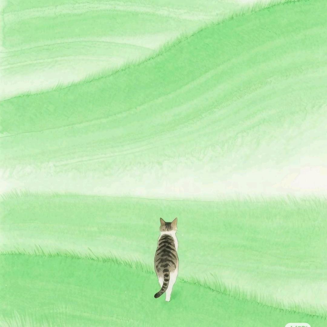 猫咪森林