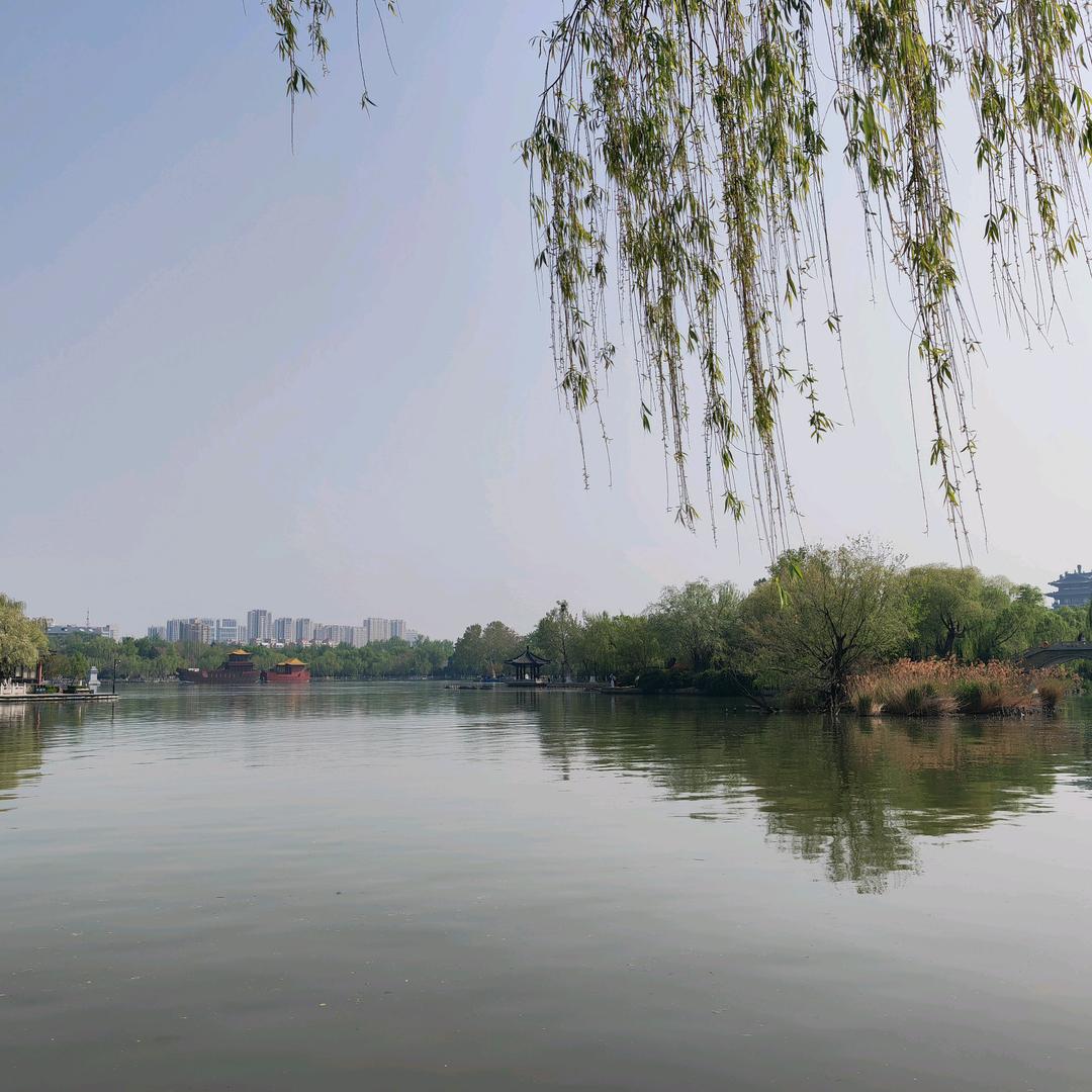 餐饮冯姐