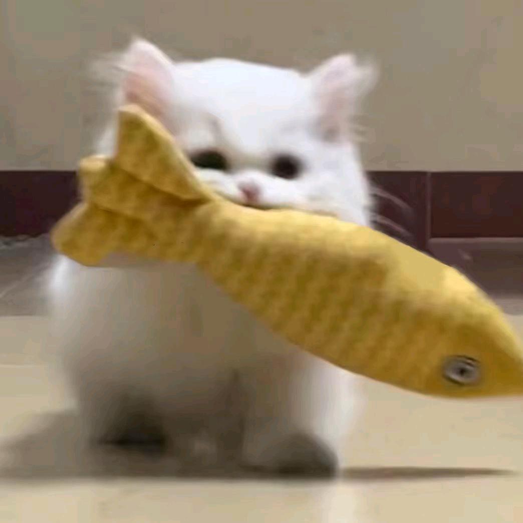 大王